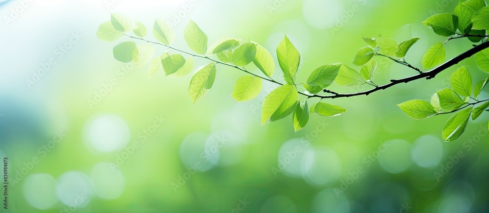 Poster selective focus on a natural green background with copy space image.