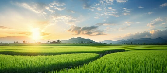 Obraz premium The sun setting over a serene rice paddy field, with a beautiful sky and copy space image.