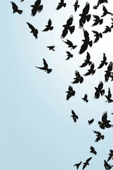 A group of birds soaring through the air