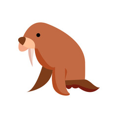 Walrus