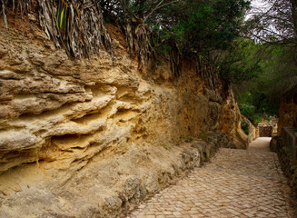 Yellow stone path with green trees around. Selective focus. Travel concept.