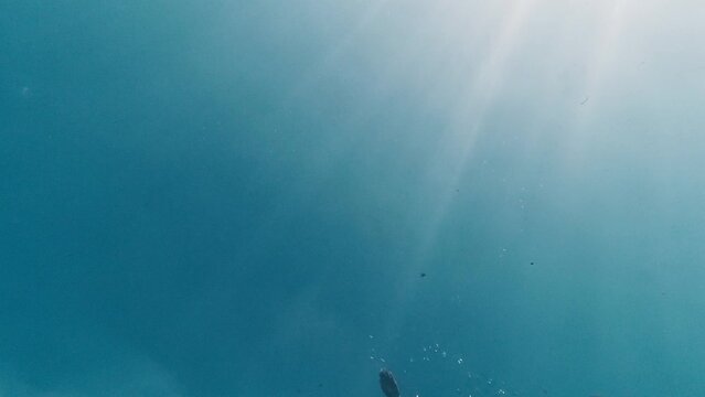 Man is swimming on water surface of the sea on the blue sky background