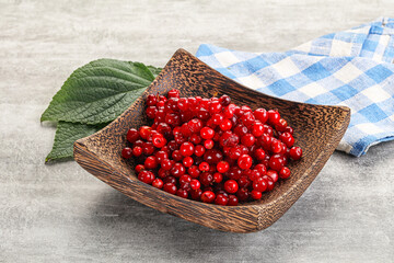 Ripe sweet wild organic cowberry