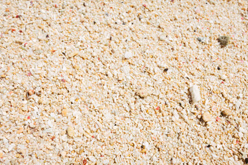 view of coral sands at beach