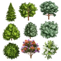 Diverse Collection of Distinctive Shrubs and Foliage in Vibrant
