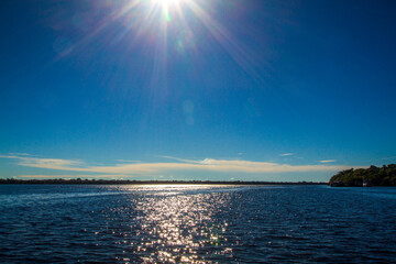 Scenic Views of the Negro River: Discover the tranquil beauty and rich biodiversity of this Amazonian tributary, ideal for travel and environmental-themed projects