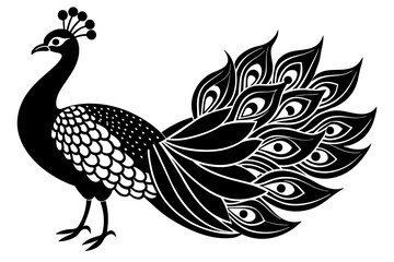 peacock silhouette vector illustration