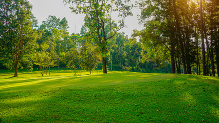 Green grass and woods on a golf field.