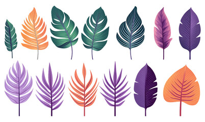 Set of tropical leaves on various color isolated on white background. Beautiful tropical exotic foliage.