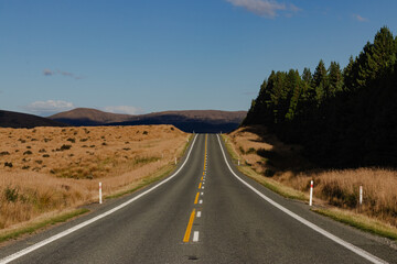 Endless Asphalt Road through Golden Fields