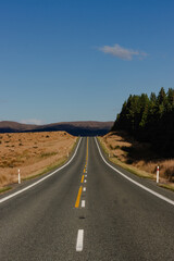 Serene Asphalt Road through Golden Countryside