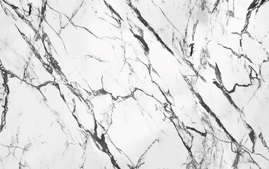 Obraz premium marble granite white panorama background wall surface black pattern 