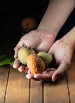 Hands holding atis fruit