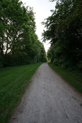 road, natur, bahn, landschaft, baum, baum, Park Landschaft in Bielefeld