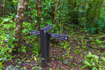 小笠原諸島・母島　乳房山の風景　
