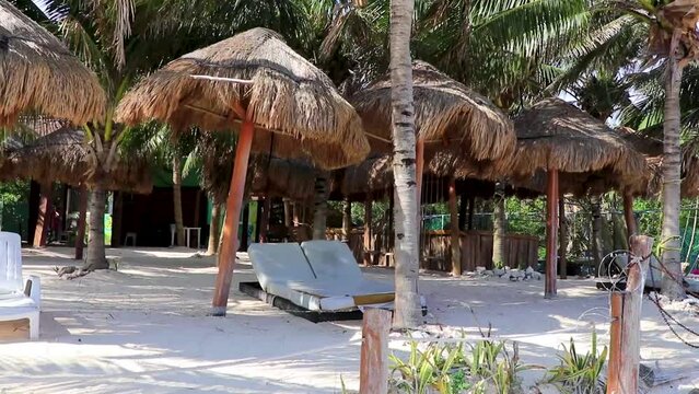 Palapa thatched roofs palms parasols sun loungers beach resort Mexico.