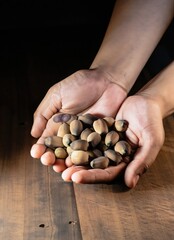 hands with handful of lotus seeds on a wooden table