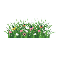 Spring natural green grass