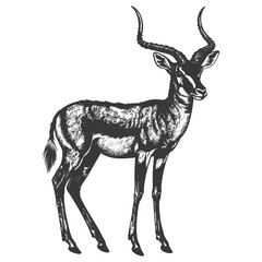 impala animal full body with engraving style black color only