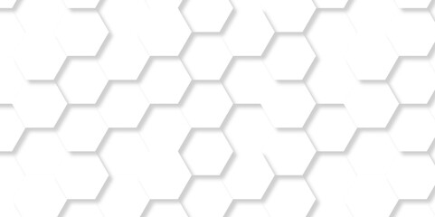 Fototapeta premium Vector pattern with hexagonal white and gray technology line paper background. Hexagonal 3d grid tile and mosaic structure mess cell. white and gray hexagon honeycomb geometric copy space.