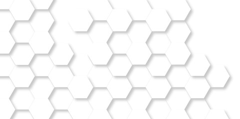 Fototapeta premium Vector pattern with hexagonal white and gray technology line paper background. Hexagonal 3d grid tile and mosaic structure mess cell. white and gray hexagon honeycomb geometric copy space.