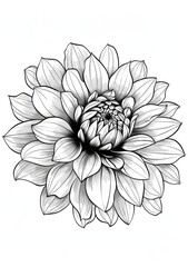 This printable coloring page features a detailed illustration of a single dahlia flower. The intricate design of the petals and center offers a relaxing and creative activity for adults. 