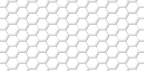Vector pattern with hexagonal white and gray technology line paper background. Hexagonal 3d grid tile and mosaic structure mess cell. white and gray hexagon honeycomb geometric copy space.