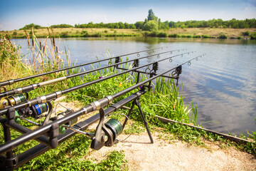 Fishing rods on the shore for carp fishing in summer in nature. High quality photo