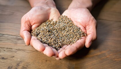 hands with handful of carom seeds
