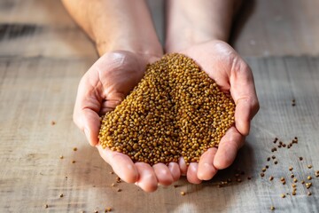close-up on hands with handful of millet cereal