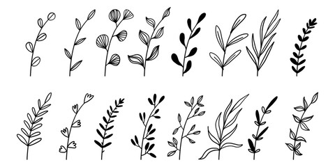 Floral wreath frames simple minimalist botanical scrapbook natural hand drawn scribble doodles set collection