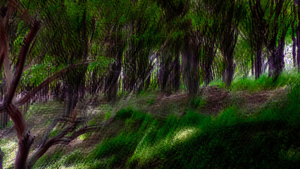 Duryu park, Daegu, South Korea