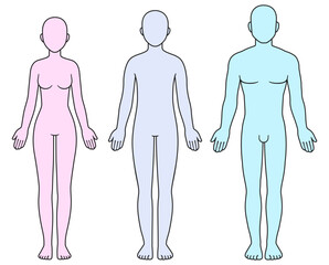 Male, female and unisex body silhouette
