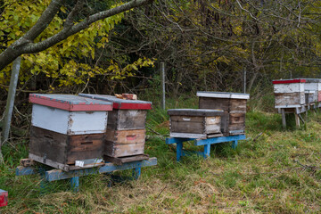 BEE BOX