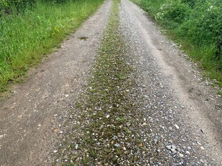 road in the park