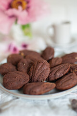 Madeleine with chocolate. Traditional French small cakes 