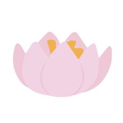 water lily in cartoon flat style isolated on white background. Vector illustration.