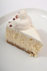 piece of cheesecake on clean white background