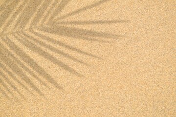 Realistic shadow of palm leaf on beach sand surface. Minimal Summer Concept. Mockup for product....