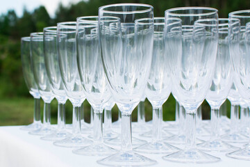 Empty champagne glasses on a table. A wedding in a garden.