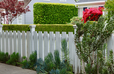 white picket fence surrounds the garden