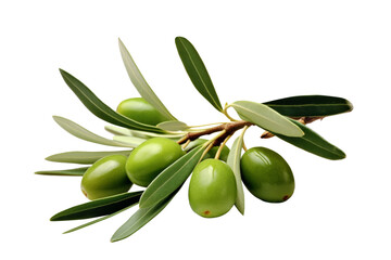 Olives with green leaves isolated on transparent background.