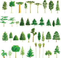 Colorful Tree Set on White Background - Vector EPS