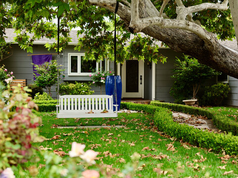 bench swing hanging from the tree branch