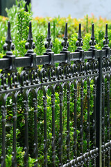 decorative black wrought iron fence