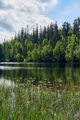 Summer by the Nordre Huetjernet Lake of the Totenaasen Hills, Norway.