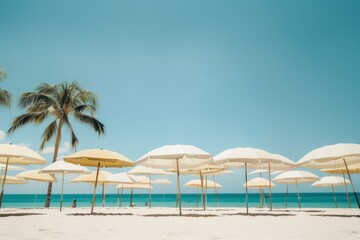 Fototapeta premium White umbrellas with palm trees on the beach and a clear blue sky.