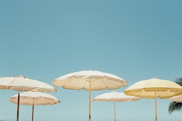White umbrellas with palm trees on the beach and a clear blue sky.