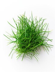 A bunch of green grass is piled on a white background. The grass is cut short and he is fresh. Concept of natural beauty and simplicity