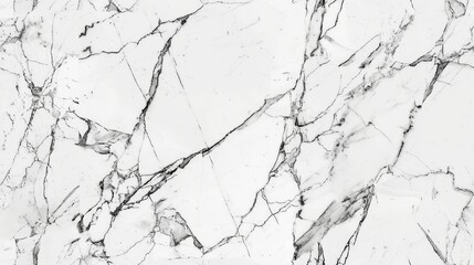 Seamless marble texture with white background and black veins.